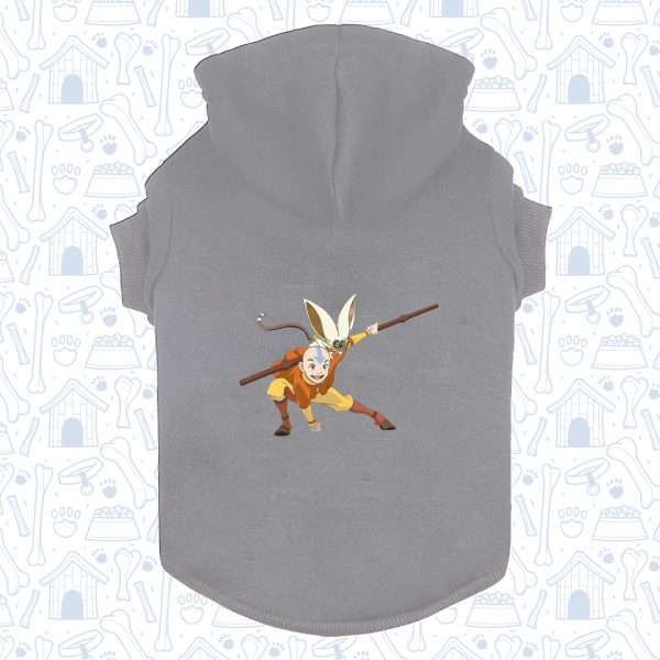 Hoodie Capota Gris Claro Aaang Mascota